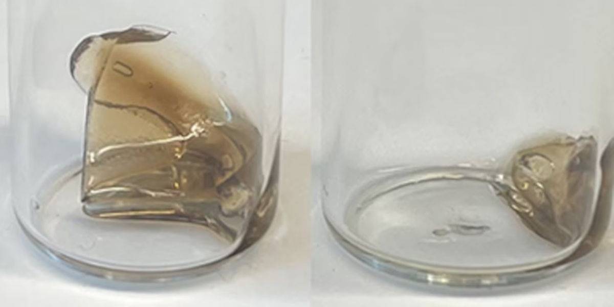 �»�ѧ���Կ�Ԥ�����Ͻ�