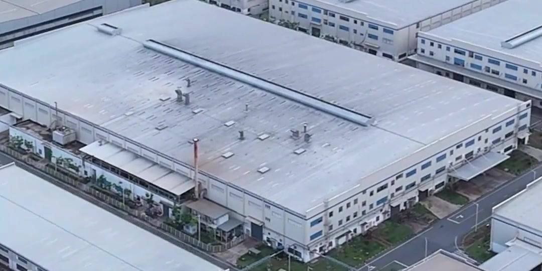 ���ǵ��Խ�10��ֲ��ܣ�